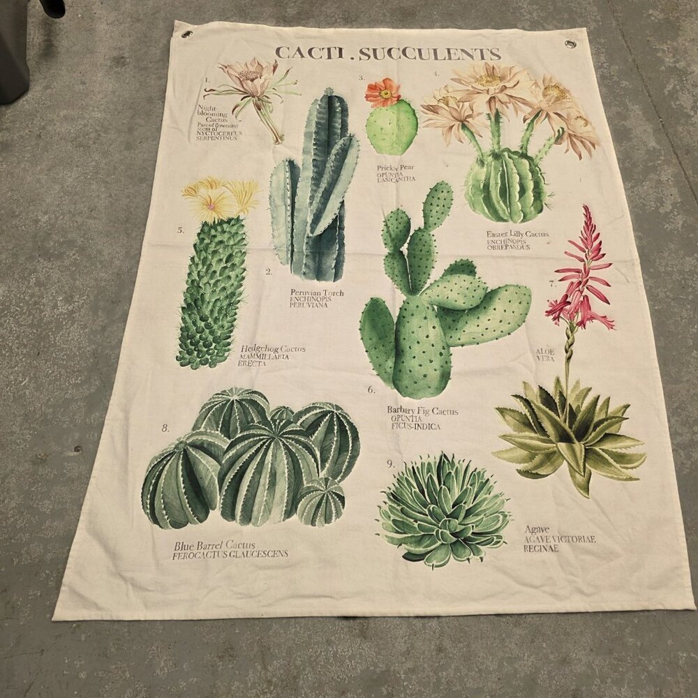 succulent plants Wall Hanging With Grommets 37x49in Approximate Decor Boho - Picture 2 of 5